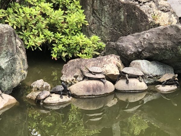 子宝祈願 社寺巡り２５ 川原神社 名古屋市昭和区 公式 郵送での精子検査キットならプレグナクト 株 Oes